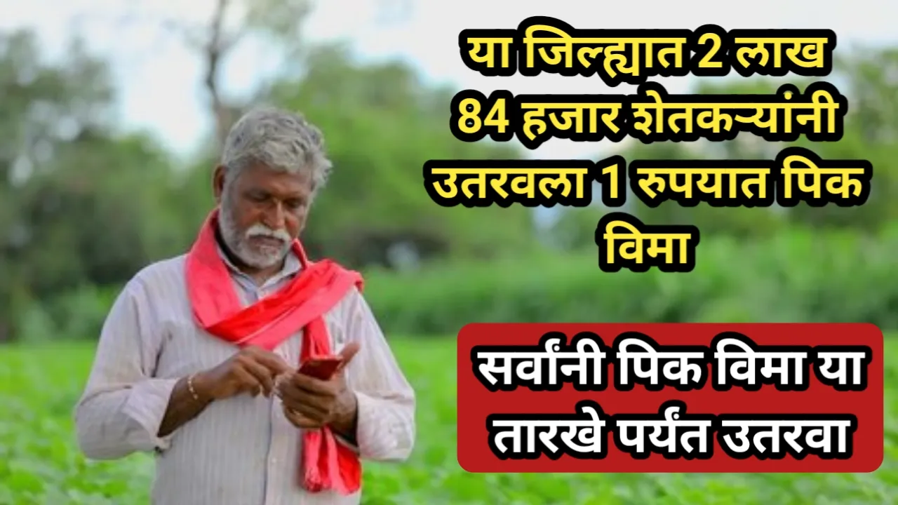 या जिल्ह्यात 2 लाख 84 हजार शेतकऱ्यांनी उतरवला 1 रुपयात पिक विमा, सर्वांनी पिक विमा या तारखे पर्यंत उतरवा | Pik Vima 2024