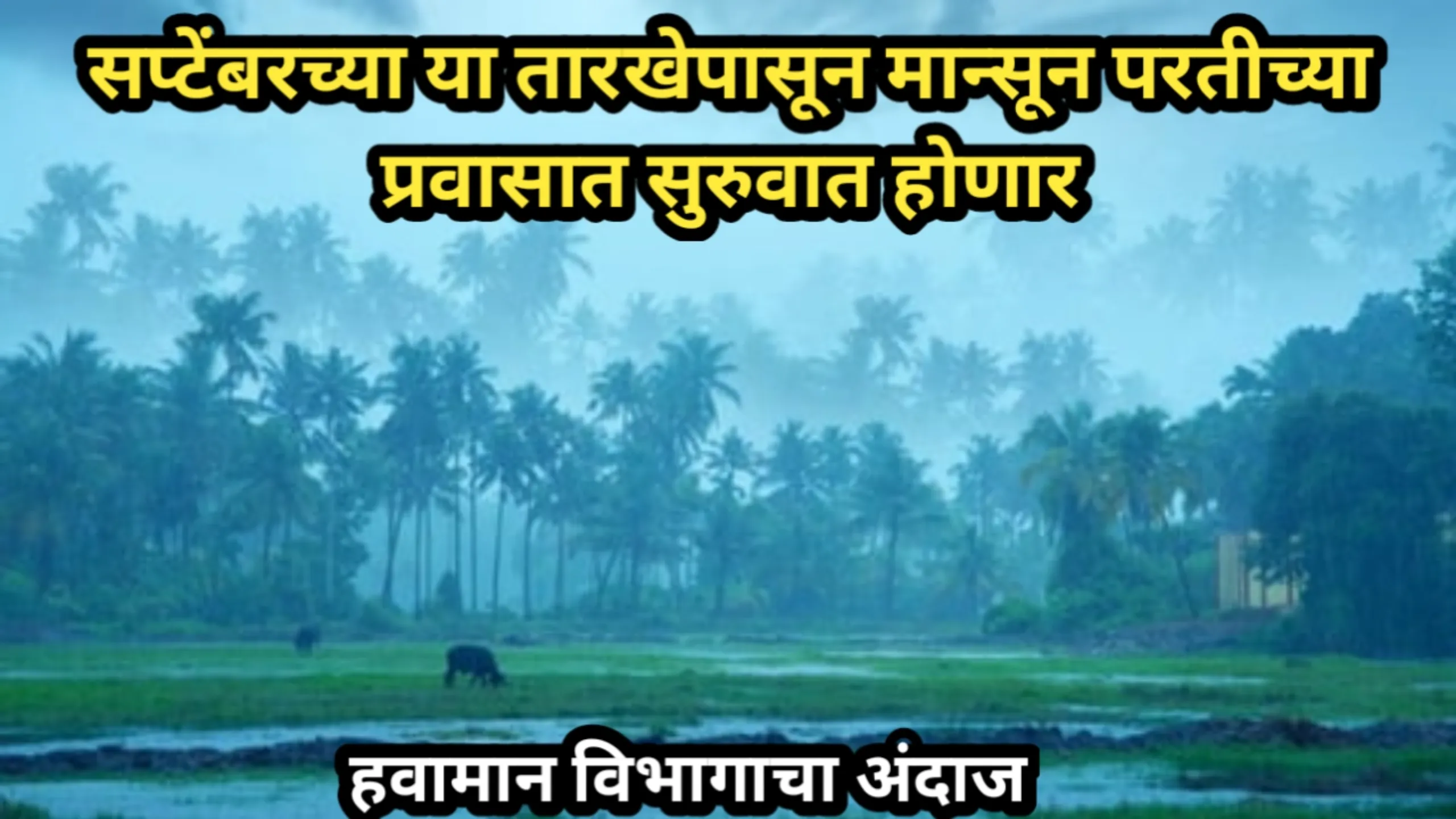 सप्टेंबरच्या या तारखेपासून मान्सून परतीच्या प्रवासात सुरुवात होणार, हवामान विभागाचा अंदाज | Havaman Andaj 